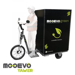 triciclo de carga electrico producto