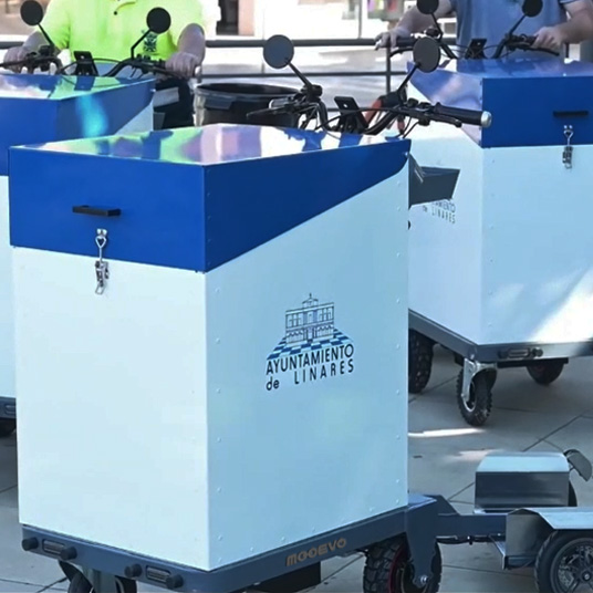 carro para patinete eléctrico

